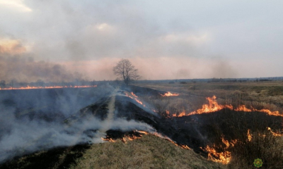 Чтобы избежать возникновения пожаров, необходимо соблюдать правила поведения в лесу